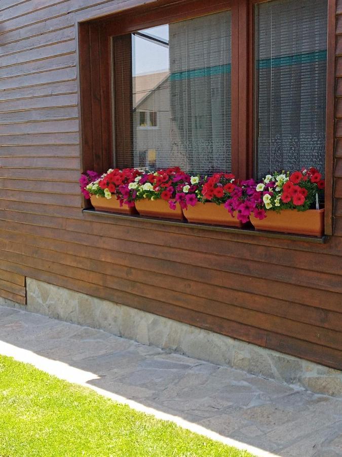 Maria Kicakova Tatry Mks Villa Csorba Kültér fotó